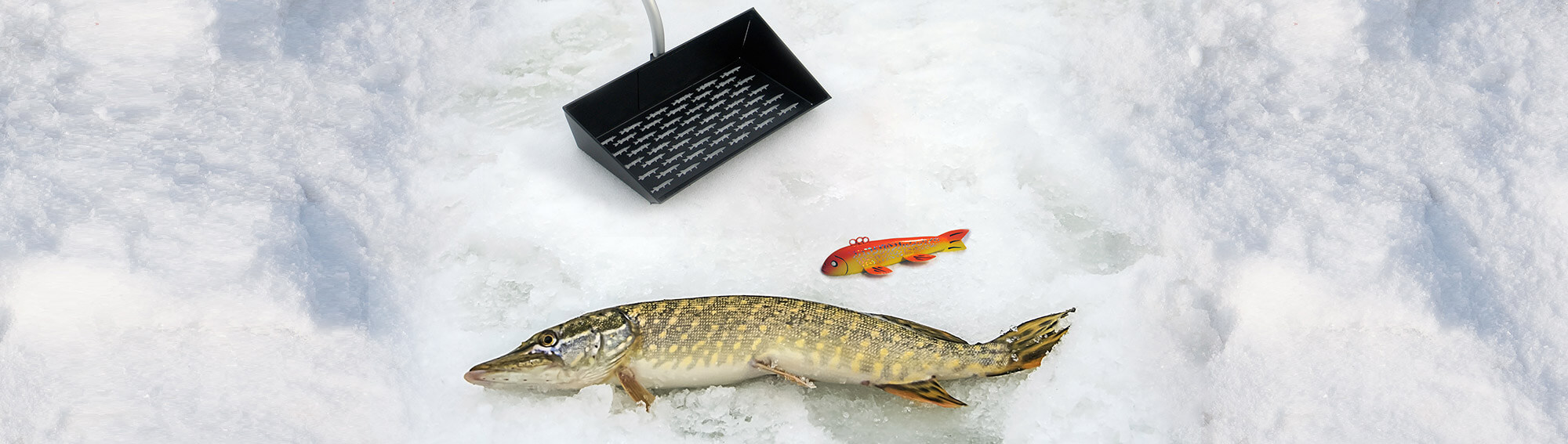 Northern Pike laying on the ice next to a large decoy and a Doty's Darkhouse Dipper